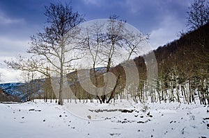 Epic Pastoral Winter Landscape