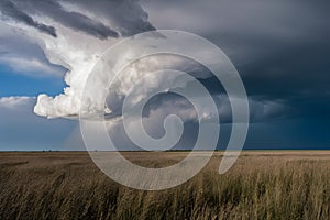 Epic prairie power captured during a thunderstorm