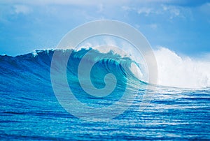 Epic Waves, Perfect Surf