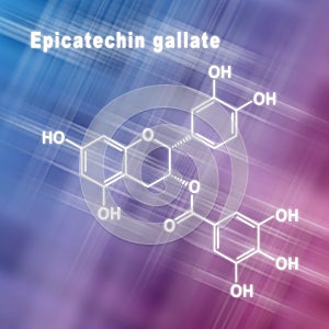 Epicatechin gallate, Structural chemical formula
