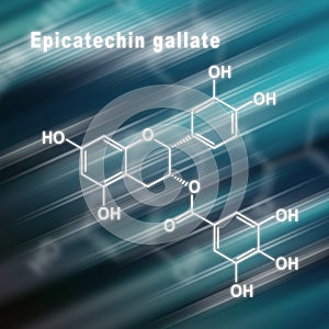 Epicatechin gallate, Structural chemical formula