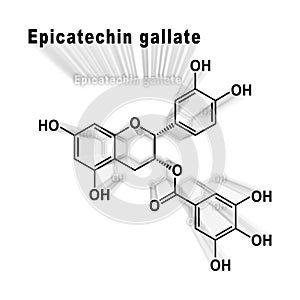 Epicatechin gallate, Structural chemical formula