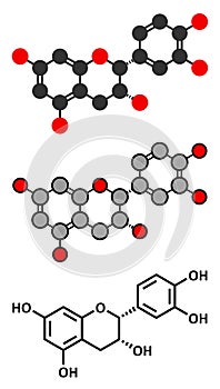 Epicatechin (l-epicatechin) chocolate flavonoid molecule
