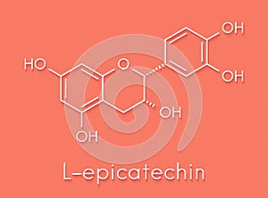 Epicatechin L-epicatechin chocolate flavonoid molecule. Skeletal formula.