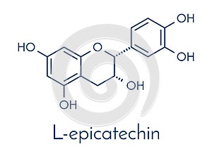 Epicatechin L-epicatechin chocolate flavonoid molecule. Skeletal formula.