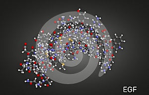 Epidermal growth factor , EGF protein molecule. It is stimulates cell growth and differentiation. 3D rendering PDB 2KV4 photo