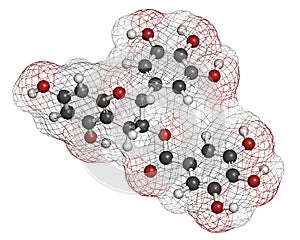 Epigallocatechin gallate EGCG green tea polyphenol molecule. Has antioxidant properties and may contribute to health effects of.