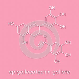 Epigallocatechin gallate (EGCG) green tea polyphenol molecule. Has antioxidant properties and may contribute to health effects of