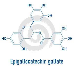 Epigallocatechin gallate or EGCG green tea polyphenol molecule. Skeletal formula.