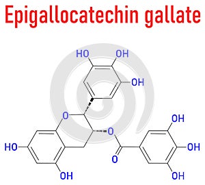 Epigallocatechin gallate or EGCG green tea polyphenol molecule. Skeletal formula.