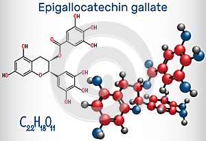 Epigallocatechin gallate EGCG, is the most abundant catechin i photo