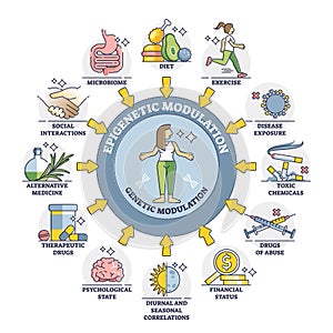 Epigenetic modulation as environmental effect to phenotype outline diagram photo