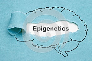Epigenetics Drawn Human Brain Concept photo