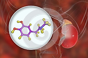 Epinephrine hormone produced by adrenal gland