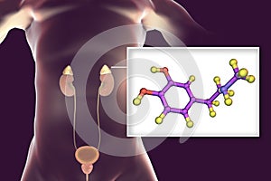 Epinephrine hormone produced by adrenal gland