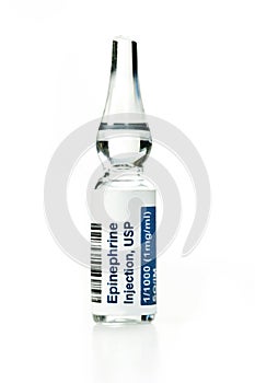 Epinephrine Injection Ampule photo