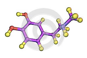 Epinephrine molecule, a hormone produced by adrenal gland