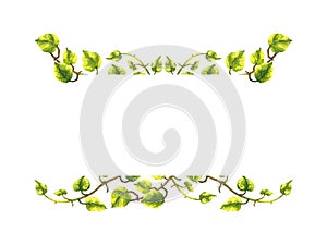 Epipremnum tropical floral flower leaf template frame watercolor painting illustration design card background wedding invitation