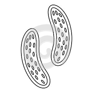 Epithelial cell icon, outline style