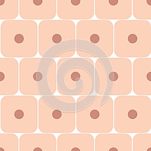 Epithelial tissue seamless pattern photo
