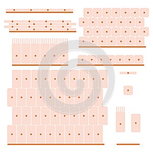 Epithelial tissue set photo