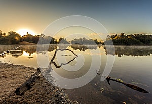 Epping Forest Sunrise