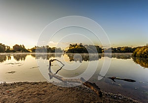 Epping Forest Sunrise