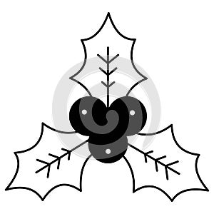 Holly which can easily modify or edit