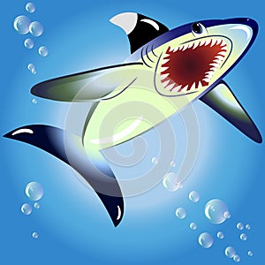EPS10 vector illustration. shark
