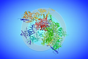 Epstein-Barr virus, C5 penton vertex, CATC absent. Ribbons diagram. Rainbow coloring from N to C. 3d illustration