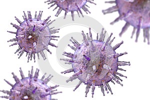 Epstein-Barr virus illustration