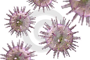 Epstein-Barr virus illustration photo