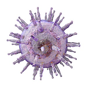 Epstein-Barr virus illustration photo