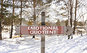 EQ emotional quotient symbol. Concept words EQ emotional quotient on beautiful wooden road sign. Beautiful forest snow sky photo