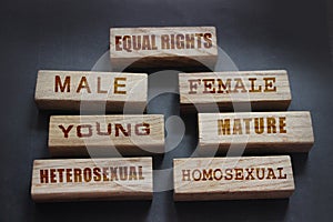 Equal rights for male or female young or mature heterosexual or homosexual words written on wooden blocks. Equality and diversity