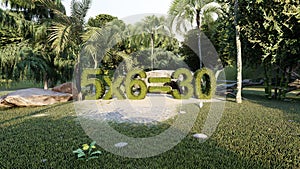 Equation 5*6=30 made of plants in a park photo