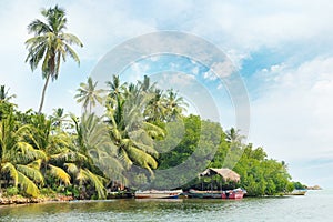 Equatorial forest and boats