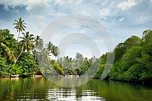 Equatorial forest and boats on lake