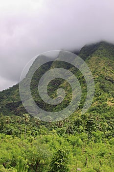 Equatorial forest with mountain tip in the clouds, in Bali Indonesia, vertical