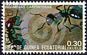 EQUATORIAL GUINEA - CIRCA 1978: A stamp printed in Equatorial Guinea from the `Insects` issue shows Formicidae, circa 1978.