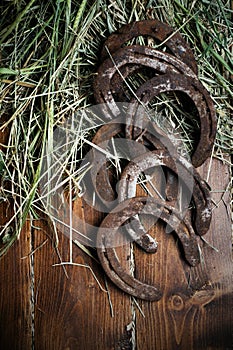 Equesrtian background. Lucky old  horseshoes laying at wooden background