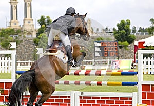 Equestrian photo