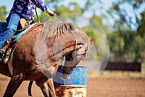 Equestrian Competing In Barrel Race At Outback Country Rodeo