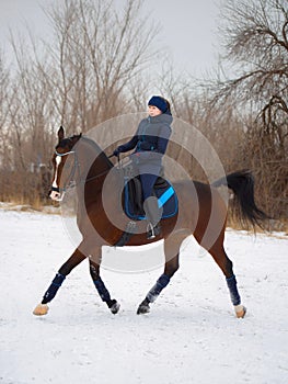 Equestrian country girl riding her bay horse in winter