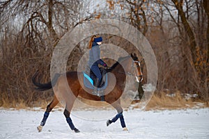 Equestrian country girl riding her bay horse in winter