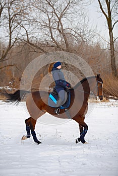 Equestrian country girl riding her bay horse in winter