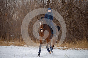 Equestrian country girl riding her bay horse in winter