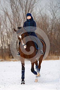 Equestrian country girl riding her bay horse in winter