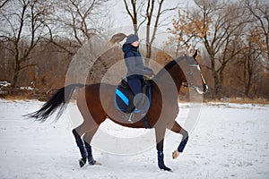 Equestrian country girl riding her bay horse in winter