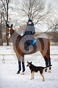 Equestrian country girl riding her bay horse in winter